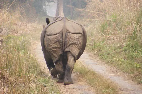 18-daagse rondreis Zinderend India & Nepal in Agra — foto 5