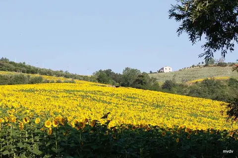 Lodges Podere Sei Poorte in Pesaro — foto 7