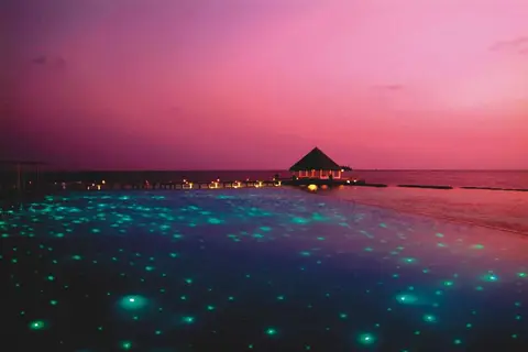 Coco Bodu Hithi in Coco Bodu Hithi — foto 16