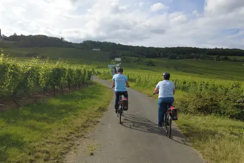 Fietscruise Rijn en Moezel, Koblenz - Koblenz in Enkirch — foto 14
