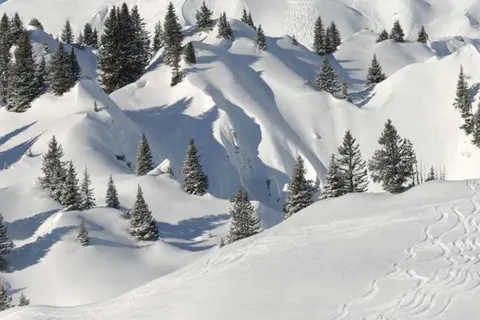 Hotel Edelweis foto 16