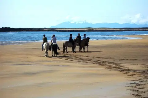 Natuurlijk IJsland in Complete rondreis IJsland — foto 21