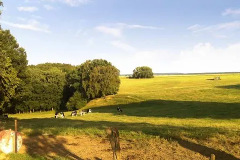 Buitenplaats Kasteel Elsloo foto 24