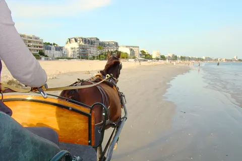 Camping Les Ajoncs D Or foto 7