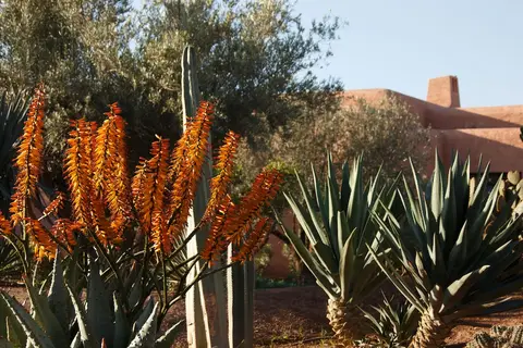 Oasis Lodges in Marrakech — foto 16