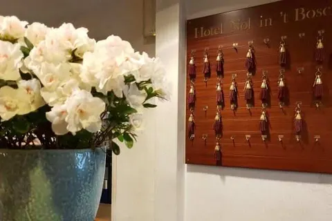 Hotel-Restaurant Nol in &ampapos;t Bosch foto 13