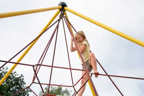 Camping Zavelbos foto 5