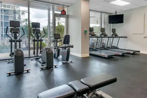 Holiday Inn Orlando Downtown Disney Springs A in Lake Buena Vista — foto 8