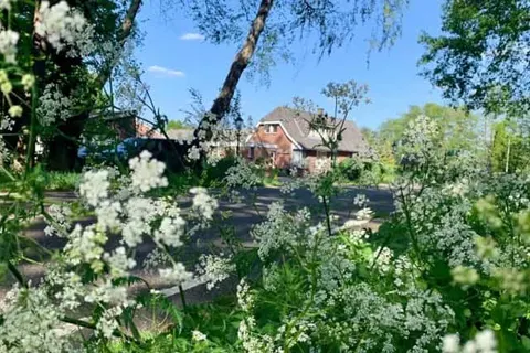 Hotel &ampapos;t Holt foto 1