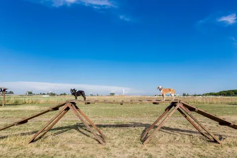 Camping Club Degli Amici foto 15