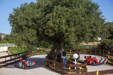 Hotel Niriides foto 9