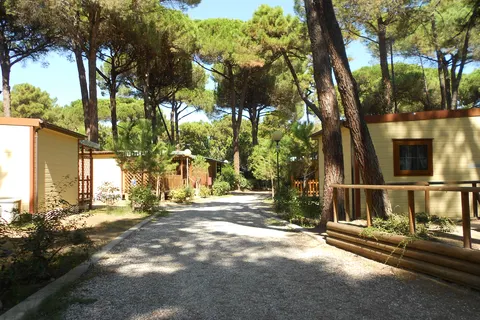 Marina Romea Easy Camping Village foto 7