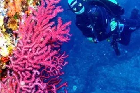 Vakantiepark Cala Montjoi foto 26