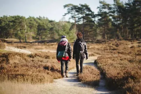 Grand Café & Hotel Hulsman foto 28