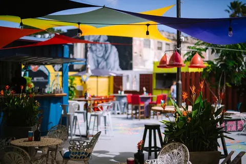 Kura Botanica Vandaag Inside / De Oranjezomer in Willemstad — foto 25