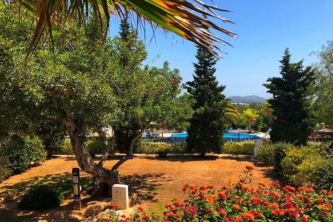 Camping Orangeraie foto 24