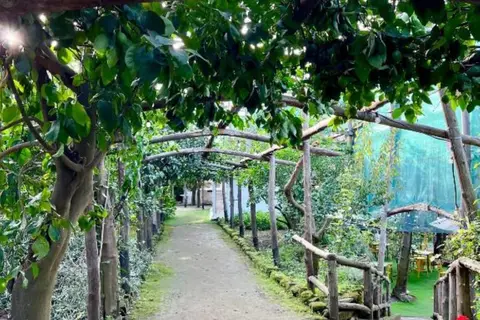 Relais Correale Rooms & Garden in Sorrento