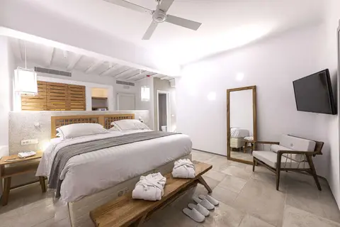 Alissachni Mykonos in Alissachni Mykonos, foto 4