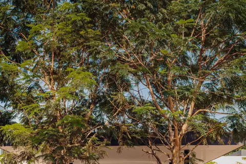 Mandarin Oriental Desaru Coast in Bandar Penawar — foto 23