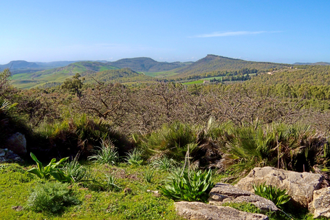 Azienda Vecchia Masseria foto 3