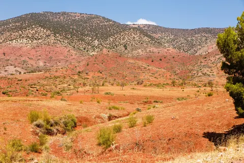 De Koningssteden van Marokko foto 23