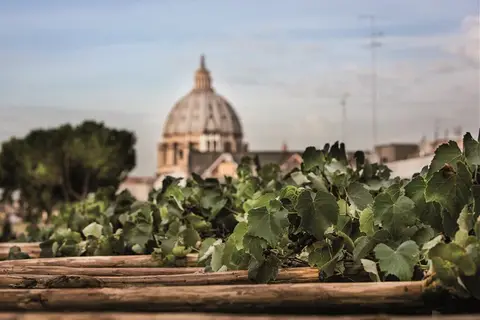 Hotel Il Cantico in Rome — foto 23