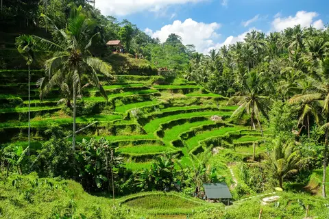 De verborgen schatten van Java en Bali in Nusa Penida — foto 19