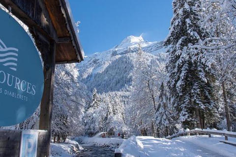 Hotel Les Sources in Ormont-Dessus — foto 10