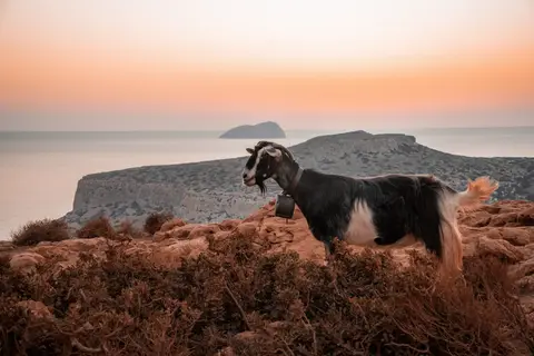 Ontdek de noordkust van Kreta in Griekse eilanden — foto 6
