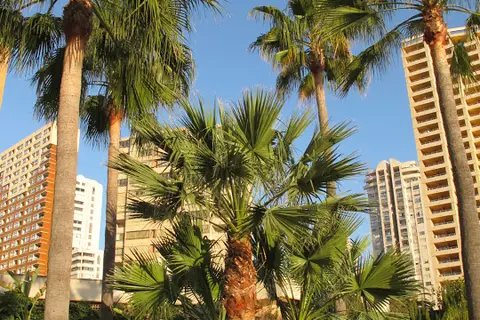 Vistamar Apartments in Benidorm — foto 19