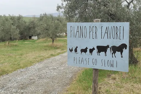 Agriturismo Podere Il Fornacino in Santa Luce — foto 24