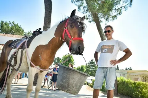 Flower Camping L Escale Du Perthuis in La Tranche-sur-Mer — foto 23
