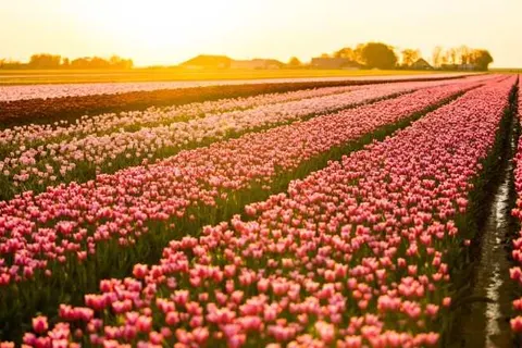 Van der Valk Hotel Sassenheim - Leiden foto 19