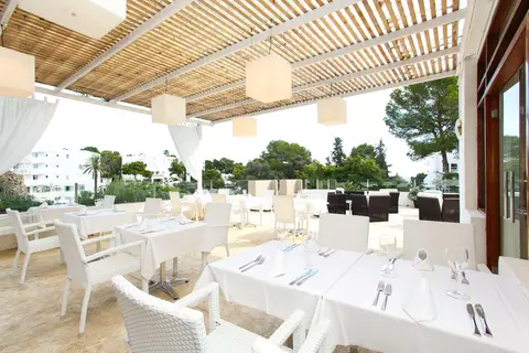 Sentido Fido Tucan in Santanyí — foto 15