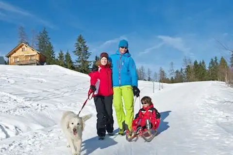 Vakantiepark Hochmontafon in St. Gallenkirch — foto 17
