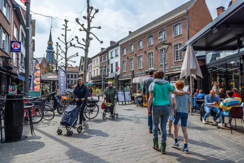 Hoge Kempen in Zutendaal — foto 23