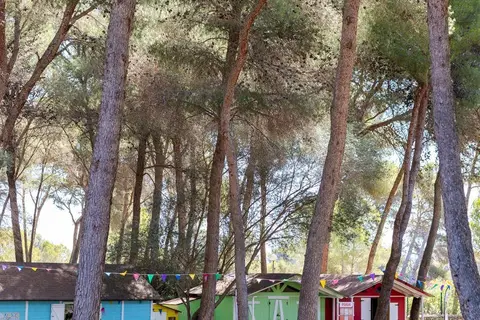 Vell Marí Hotel & Resort in Can Picafort — foto 26