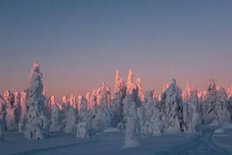 5-daags Winteravontuur Levi in Fins Lapland — foto 8