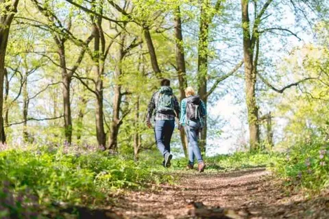 B&B De Grote Waaij foto 19