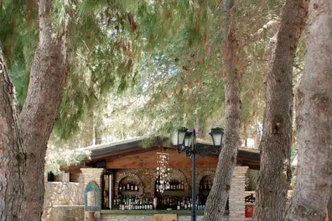 Hotel Vasilikos Beach in Δημοτική Ενότητα Ζακυνθίων — foto 26