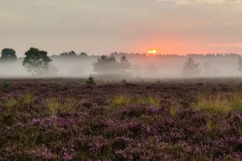 Hotel Rosveld foto 32