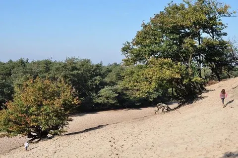 Hotel Udens Duyn foto 18