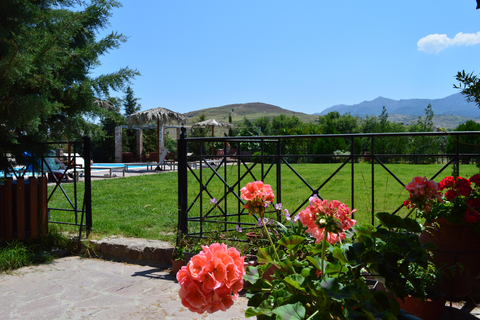 Appartementen Villa's Elpiniki foto 20