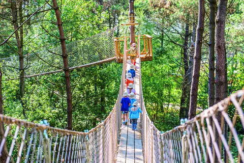 Center Parcs Le Bois Aux Daims in Morton — foto 8