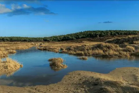 Boutiquehotel Villa de Hazelaar foto 27