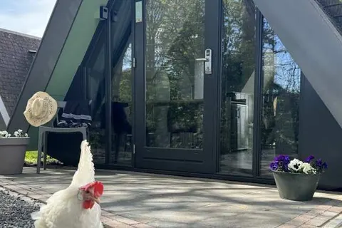 Hotelhuisjes Medemblik foto 9