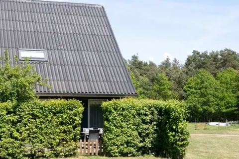 Horsetellerie Rheezerveen foto 4