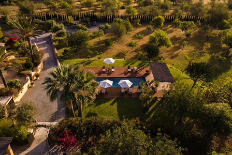 Hotel Las Mariposas Ibiza foto 4