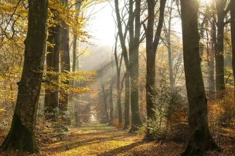 Waldhotel Stuttgart foto 21