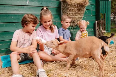 Camping Samoza foto 18